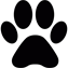 bed bug detection dog paw